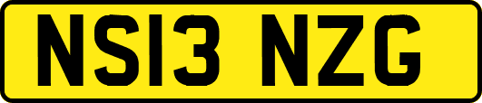 NS13NZG