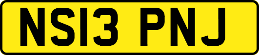 NS13PNJ