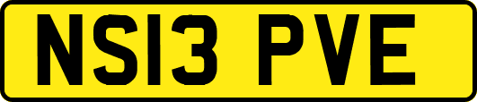 NS13PVE