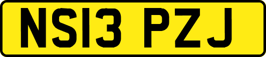 NS13PZJ