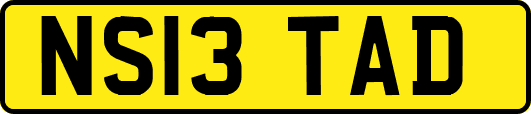 NS13TAD