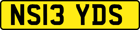 NS13YDS