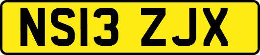 NS13ZJX