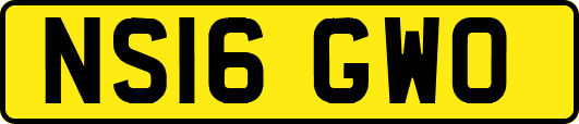 NS16GWO