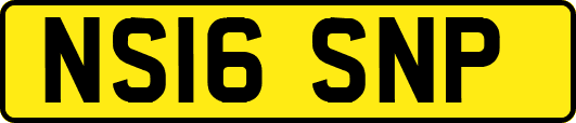 NS16SNP
