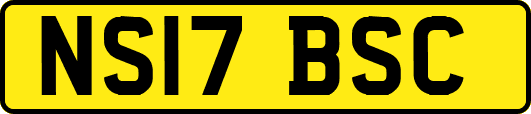 NS17BSC
