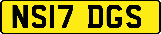 NS17DGS