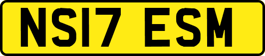 NS17ESM
