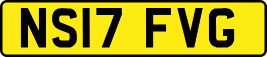 NS17FVG