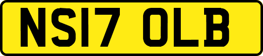NS17OLB