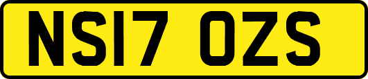 NS17OZS