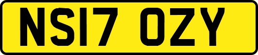 NS17OZY