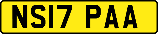 NS17PAA