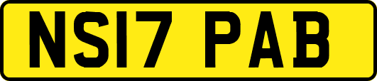 NS17PAB