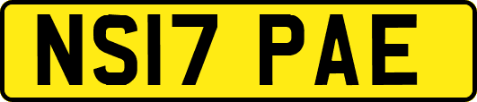 NS17PAE