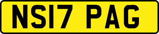 NS17PAG
