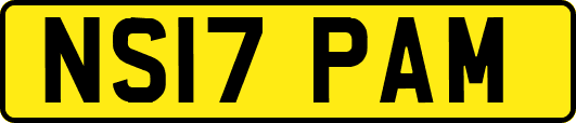 NS17PAM