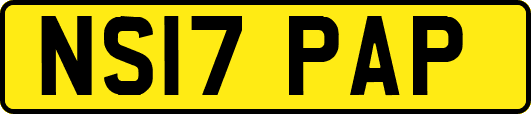 NS17PAP