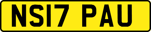 NS17PAU