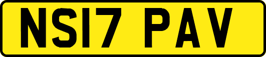 NS17PAV