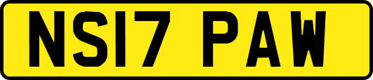 NS17PAW