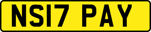 NS17PAY