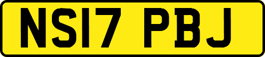 NS17PBJ