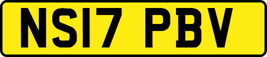 NS17PBV