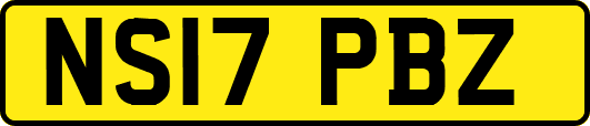 NS17PBZ