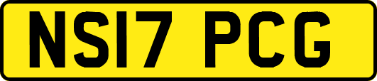 NS17PCG