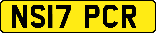 NS17PCR