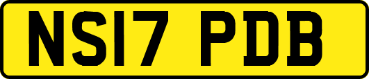 NS17PDB