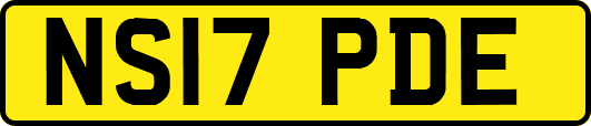 NS17PDE