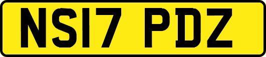 NS17PDZ