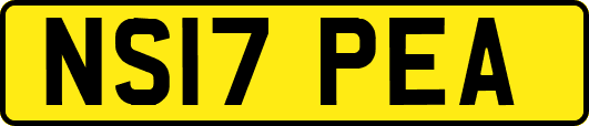 NS17PEA