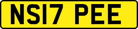 NS17PEE