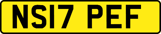 NS17PEF