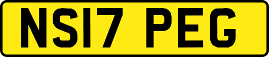 NS17PEG