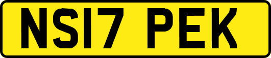 NS17PEK