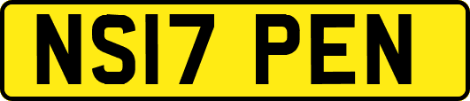 NS17PEN