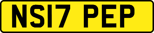 NS17PEP