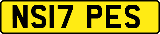 NS17PES