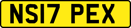 NS17PEX