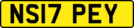 NS17PEY