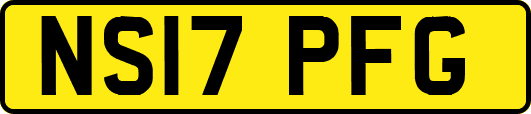 NS17PFG