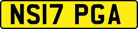 NS17PGA