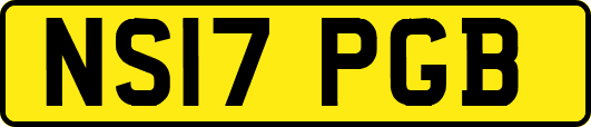 NS17PGB