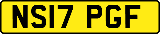 NS17PGF