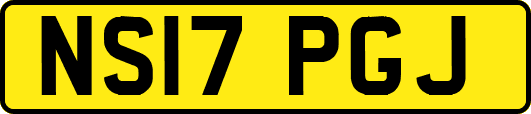 NS17PGJ