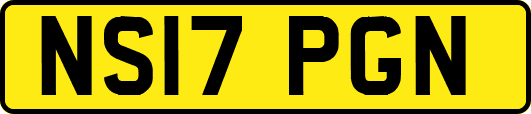NS17PGN